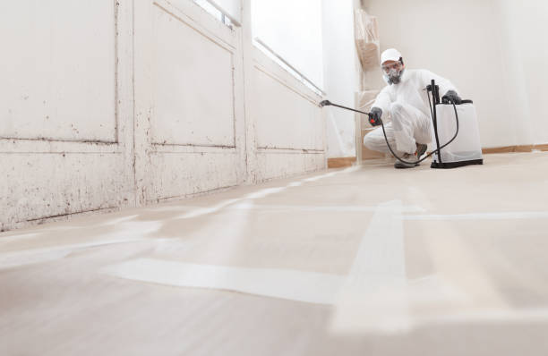 24/7 Emergency Mold Inspection experts in Perth Amboy, NJ
