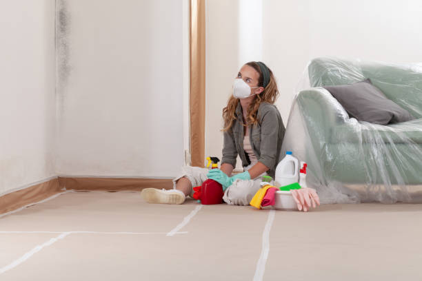 Reliable Mold Inspection contractor in Perth Amboy, NJ by WQB Mold Removal